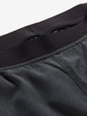 ALPINE PRO Zereca Pantaloni