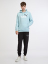 Puma ESS+ 2 Col Big Logo Hoodie TR Hanorac