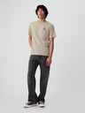 GAP Brannan Tricou