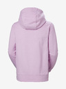 Helly Hansen HH Logo Hoodie 2.0 Hanorac