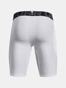 Under Armour HG Armour Lng Pantaloni scurți