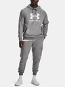 Under Armour UA Rival Fleece Logo HD Hanorac