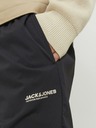 Jack & Jones Karl Pantaloni de trening