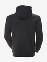 Helly Hansen HH Logo Hodie Hanorac