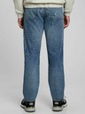 GAP Washwell Jeans