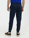 GAP Pantaloni de trening