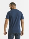 Celio Tricou