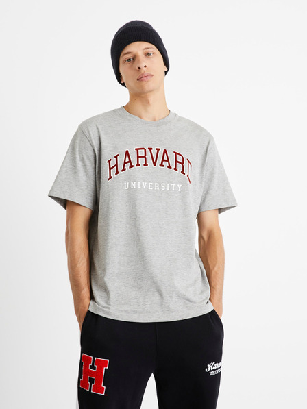 Celio Harvard University Tricou