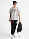 Celio Harvard University Tricou