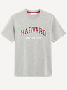 Celio Harvard University Tricou