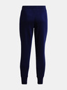 Under Armour Rival Fleece Crest Pantaloni de trening