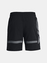 Under Armour UA Baseline Woven Short II Pantaloni scurți