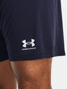 Under Armour Pantaloni scurți