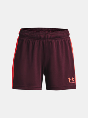 Under Armour Pantaloni scurți pentru copii