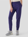 4F Pantaloni de trening