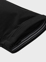 ALPINE PRO Akana Pantaloni
