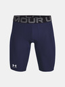 Under Armour Pantaloni scurți