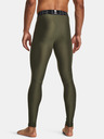 Under Armour Jambiere Under Armour UA HG Armour pentru bărbați