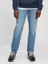 GAP Washwell Jeans
