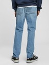 GAP Washwell Jeans