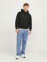 Jack & Jones Frederiks Hanorac