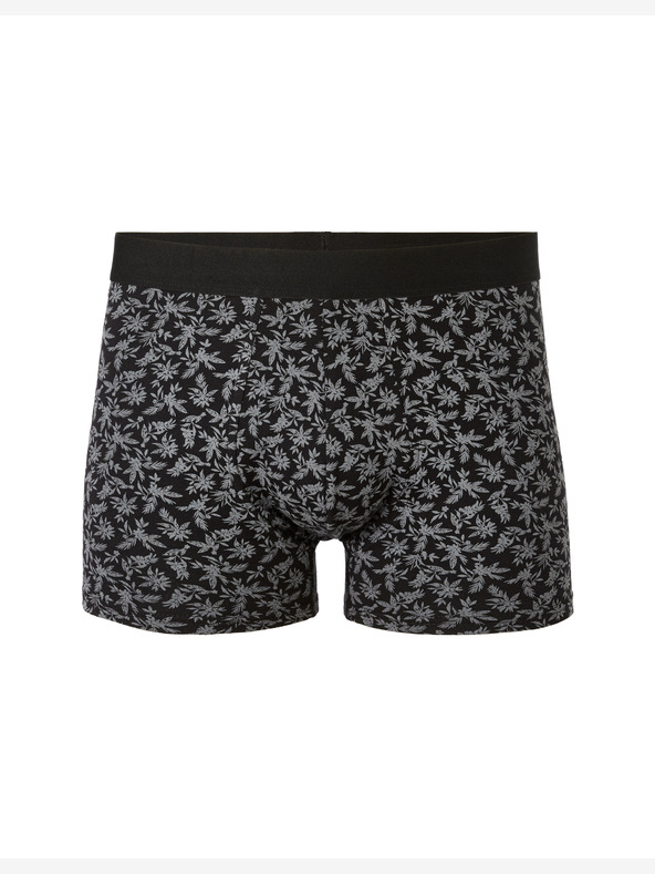 Celio Boxeri Jibofleur Celio
