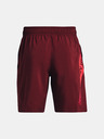 Under Armour UA Woven Graphic Pantaloni scurți