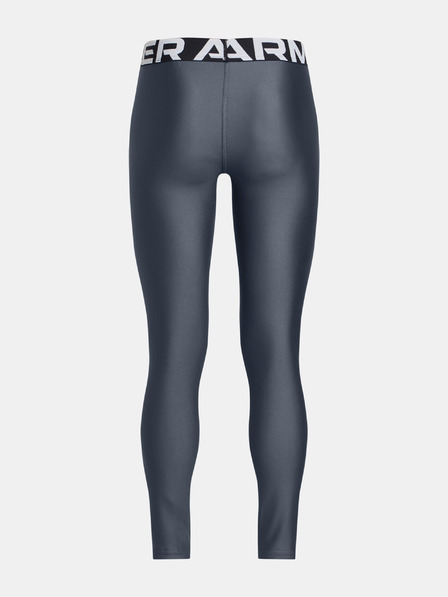 Under Armour HG Legging Colanţi