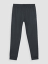 4F Pantaloni sport 4F pentru bărbați