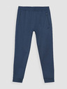4F Pantaloni sport 4F pentru bărbați
