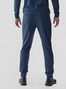 4F Pantaloni sport 4F pentru bărbați