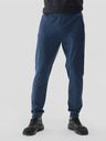 4F Pantaloni sport 4F pentru bărbați