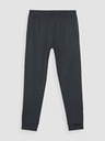 4F Pantaloni sport 4F pentru bărbați