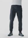 4F Pantaloni sport 4F pentru bărbați