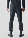 4F Pantaloni sport 4F pentru bărbați