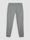 4F Pantaloni sport 4F pentru bărbați
