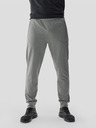 4F Pantaloni sport 4F pentru bărbați