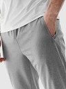 4F Pantaloni sport 4F pentru bărbați