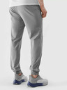 4F Pantaloni sport 4F pentru bărbați