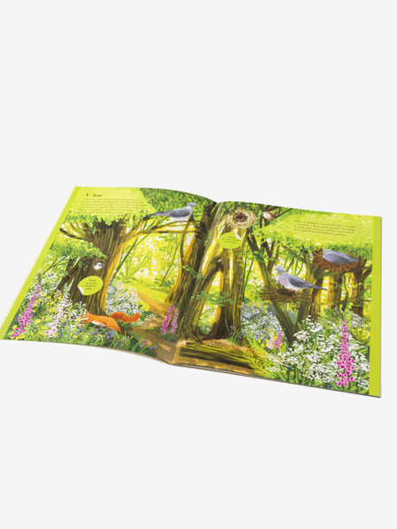 ELLA & MAX CÂINI, LUPI și alți cântăreți - Carte de autocolante